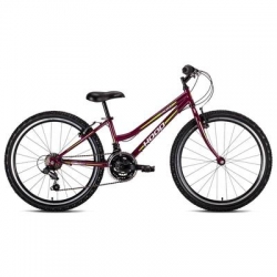 Детский велосипед HACKER 24 LADY фиолетовый/зелёные полоски ― AUTOERA.LV