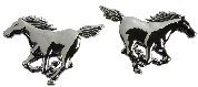 Uzlīme 3D - Horses 