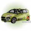 C3 Picasso (2009-2016)