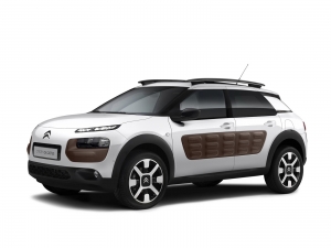C4 Cactus (2014-2020)