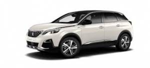 3008 (2009-2017)